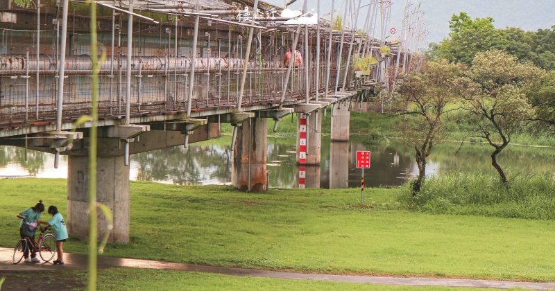 宜蘭慶和橋津梅棧道！漫步綠色小徑、河道的風與美景
