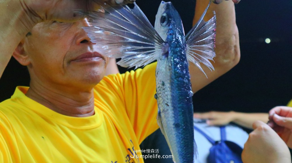 基隆鎖管季 基隆海外捕小卷 | 基隆嶼海域