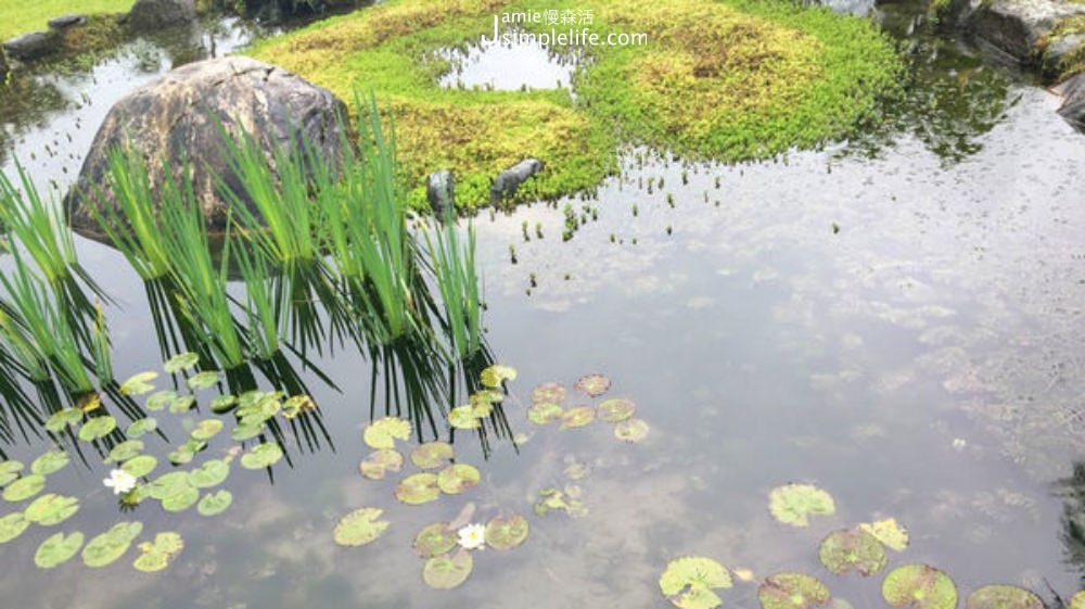 花蓮蝴蝶谷 池塘 | 花蓮瑞穗