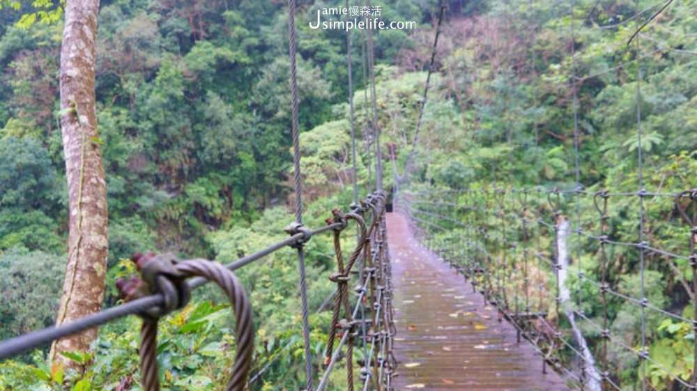 富源國家森林遊樂區 森林吊橋 | 花蓮瑞穗