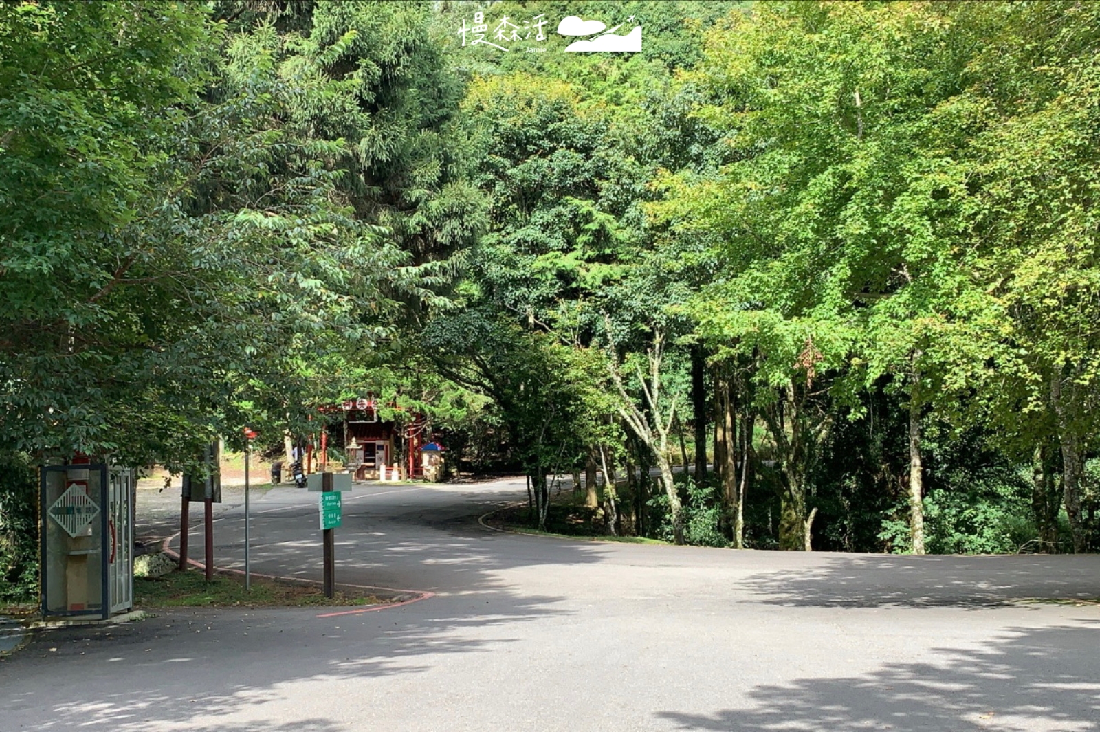 台中和平區 大雪山國家森林遊樂區