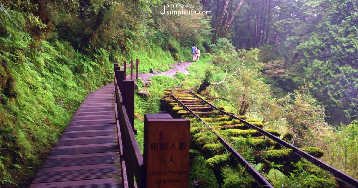 國家森林遊樂區 見晴懷古步道 | 宜蘭太平山