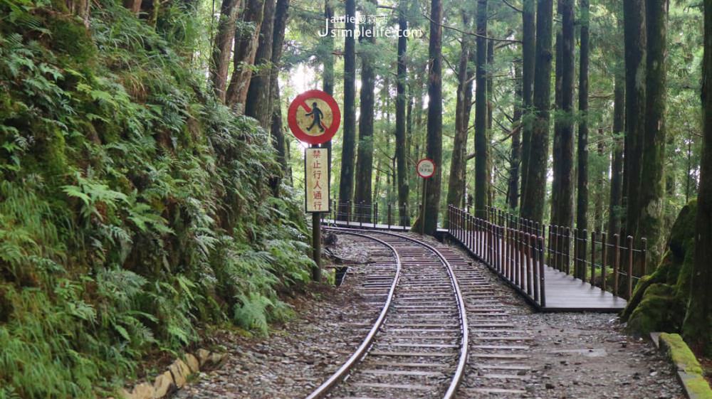 國家森林遊樂區 蹦蹦車 | 宜蘭太平山