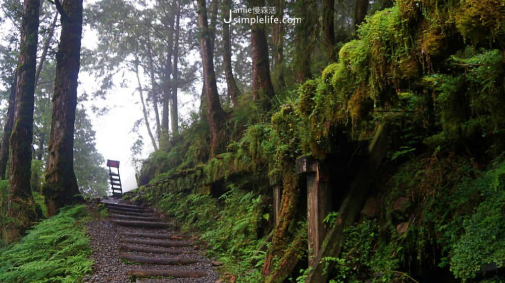 國家森林遊樂區 見晴懷古步道 | 宜蘭太平山