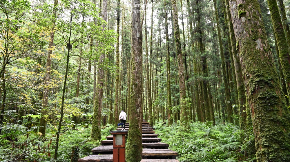 國家森林遊樂區 明池森林遊樂園區 | 宜蘭大同