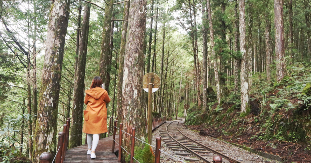 國家森林遊樂區 太平山山區 | 宜蘭南澳鄉