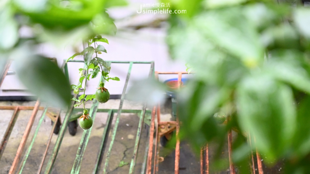 百壽有機芽菜農場 有機水果 | 苗栗獅潭