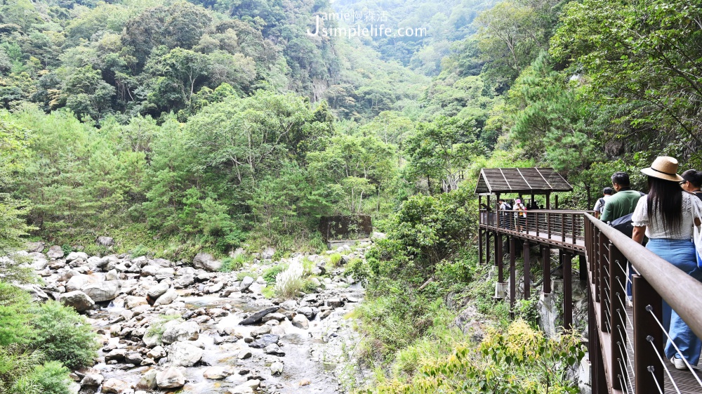 台中八仙山國家森林遊樂區 