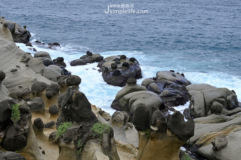 基隆「和平島公園」海蝕奇岩