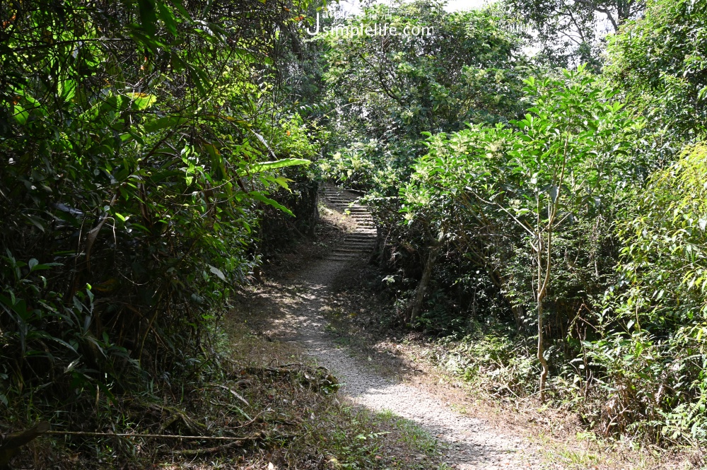 宜蘭三星拳頭姆自然步道 