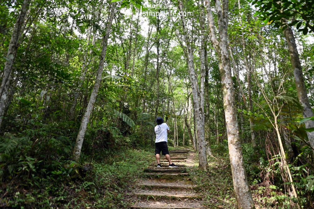 宜蘭三星拳頭姆自然步道