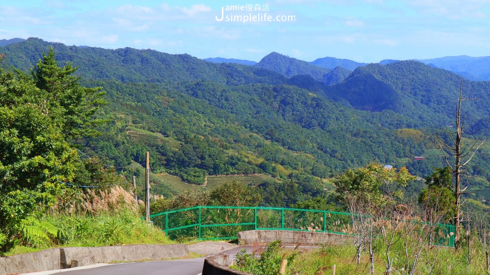 新北坪林｜南山寺茶園