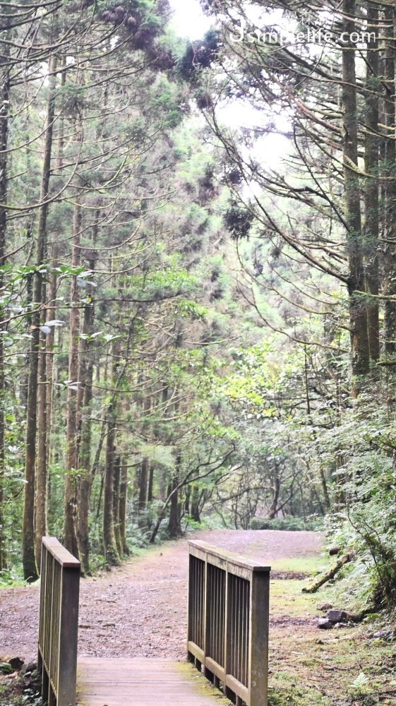 新北雙溪｜坪溪古道