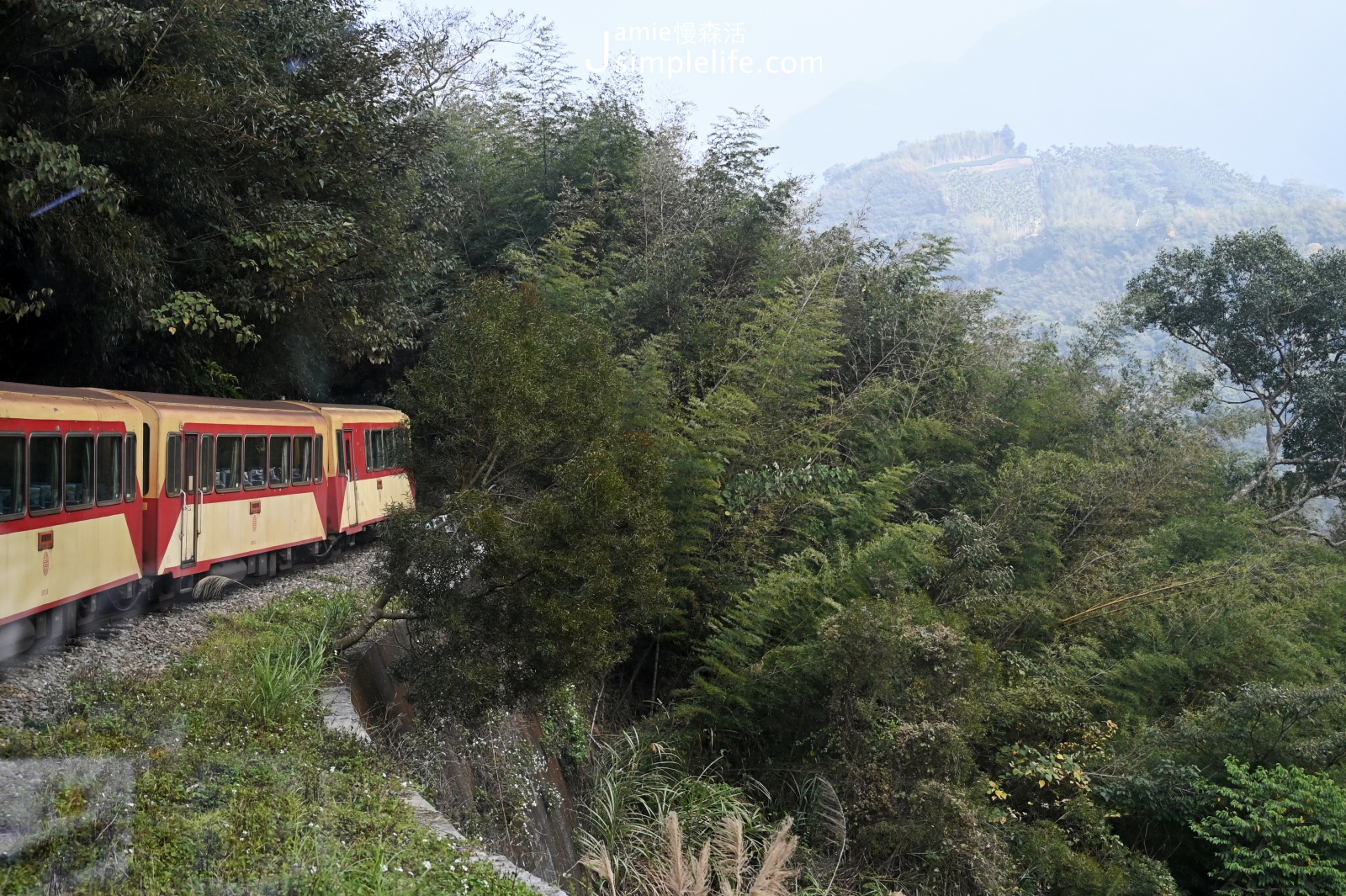 認識阿里山森林鐵路、沿線美景