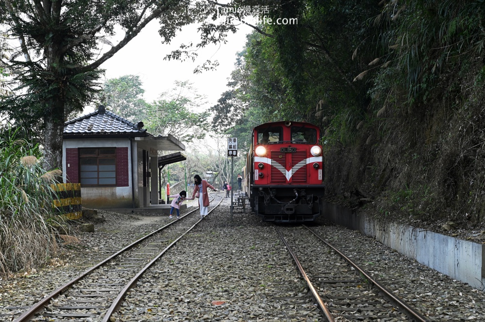 嘉義阿里山小火車 梨園寮車站