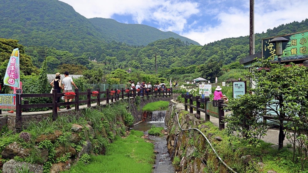 2021初春浪漫花季！朝聖雙北7個夢幻賞花景點 台北賞花交通管制路段