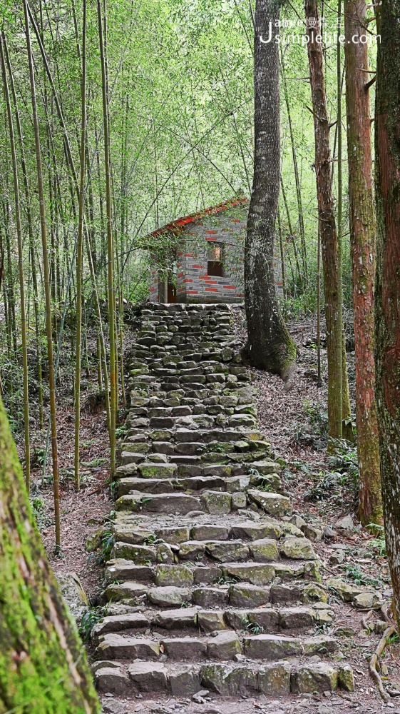 兒童節12歲以下入園免費，各地區精彩活動 國家森林公園 八仙山