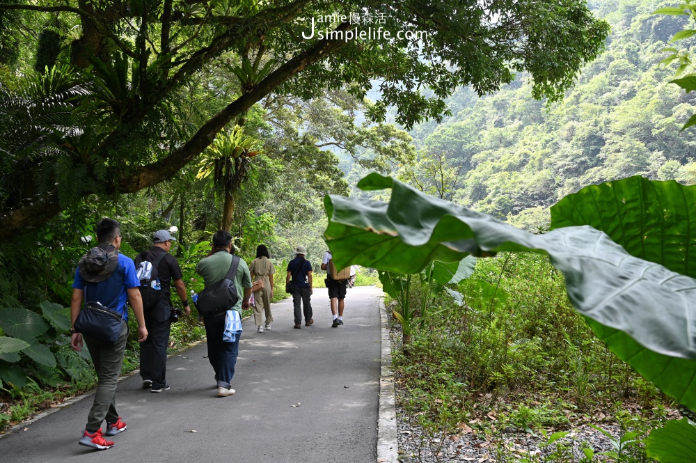 兒童節12歲以下入園免費，各地區精彩活動 國家森林公園 內洞