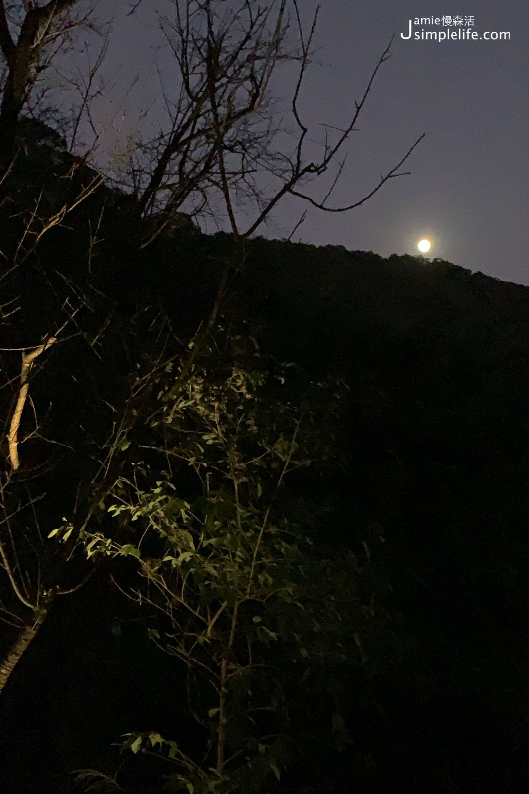 陽明山蒙馬特影像咖啡 裝飾偏甜的用餐環境與氛圍 夜晚樣子月光