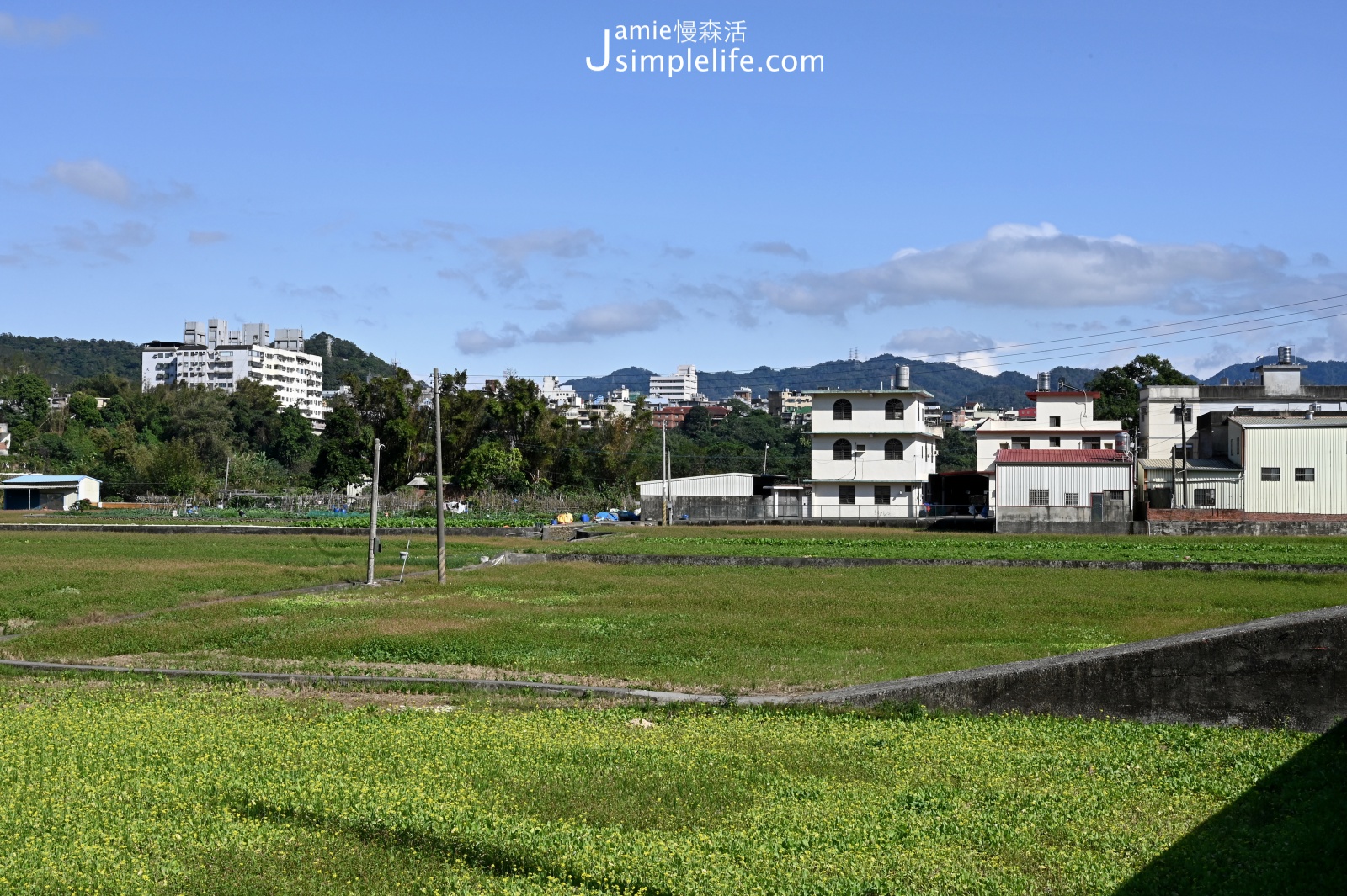 新竹仙草之鄉漫遊，關西鎮景點、咖啡與人文半日遊 新竹縣關西鎮地方人文