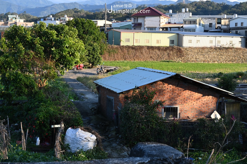 新竹仙草之鄉漫遊，關西鎮景點、咖啡與人文半日遊 新竹縣關西鎮地方人文