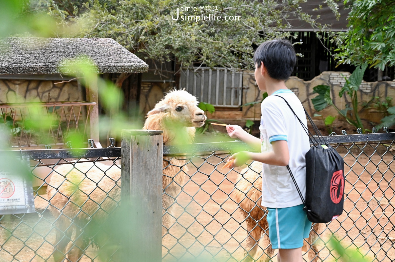 兒童節12歲以下入園免費，各地區精彩活動 國家森林公園 六福村