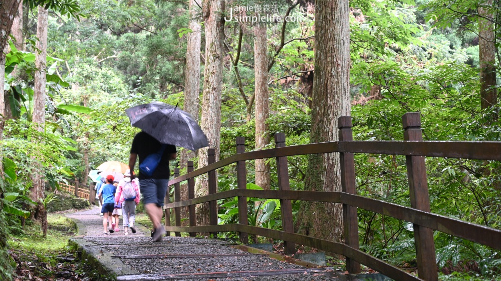 兒童節12歲以下兒童專屬，與大人同遊的幸福時光 東眼山國家森林遊樂區