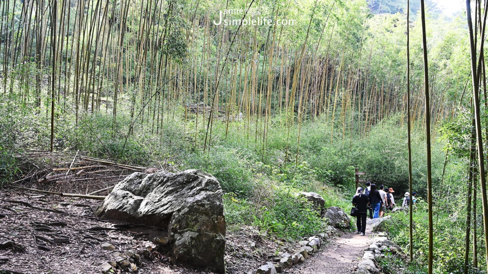 110年兒童清明連假交通前線資訊 八仙山國家森林遊樂區