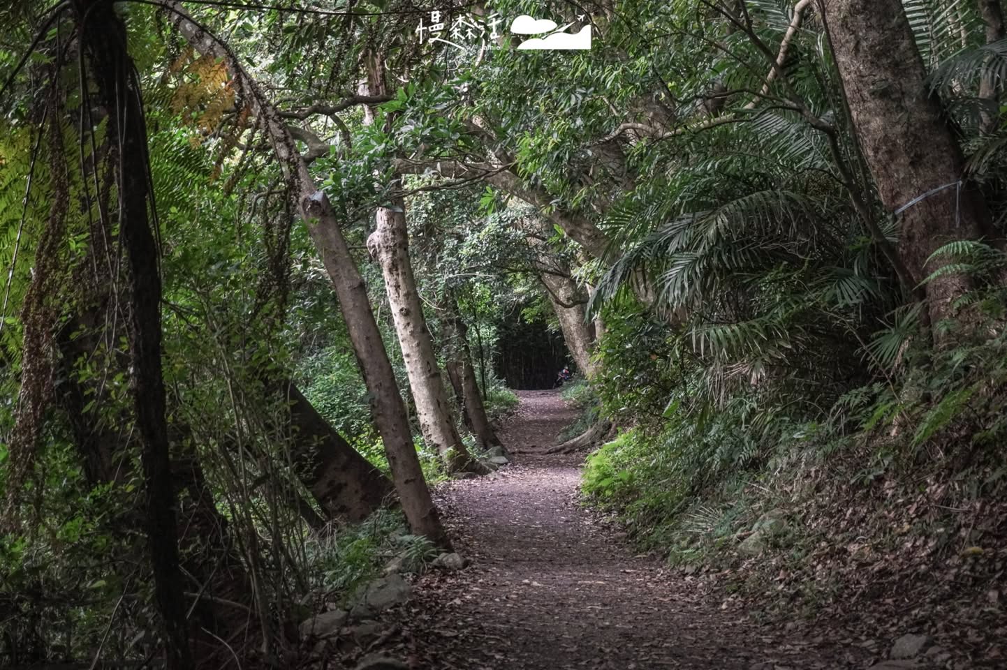 台北市北投區 陽明山橫嶺古道