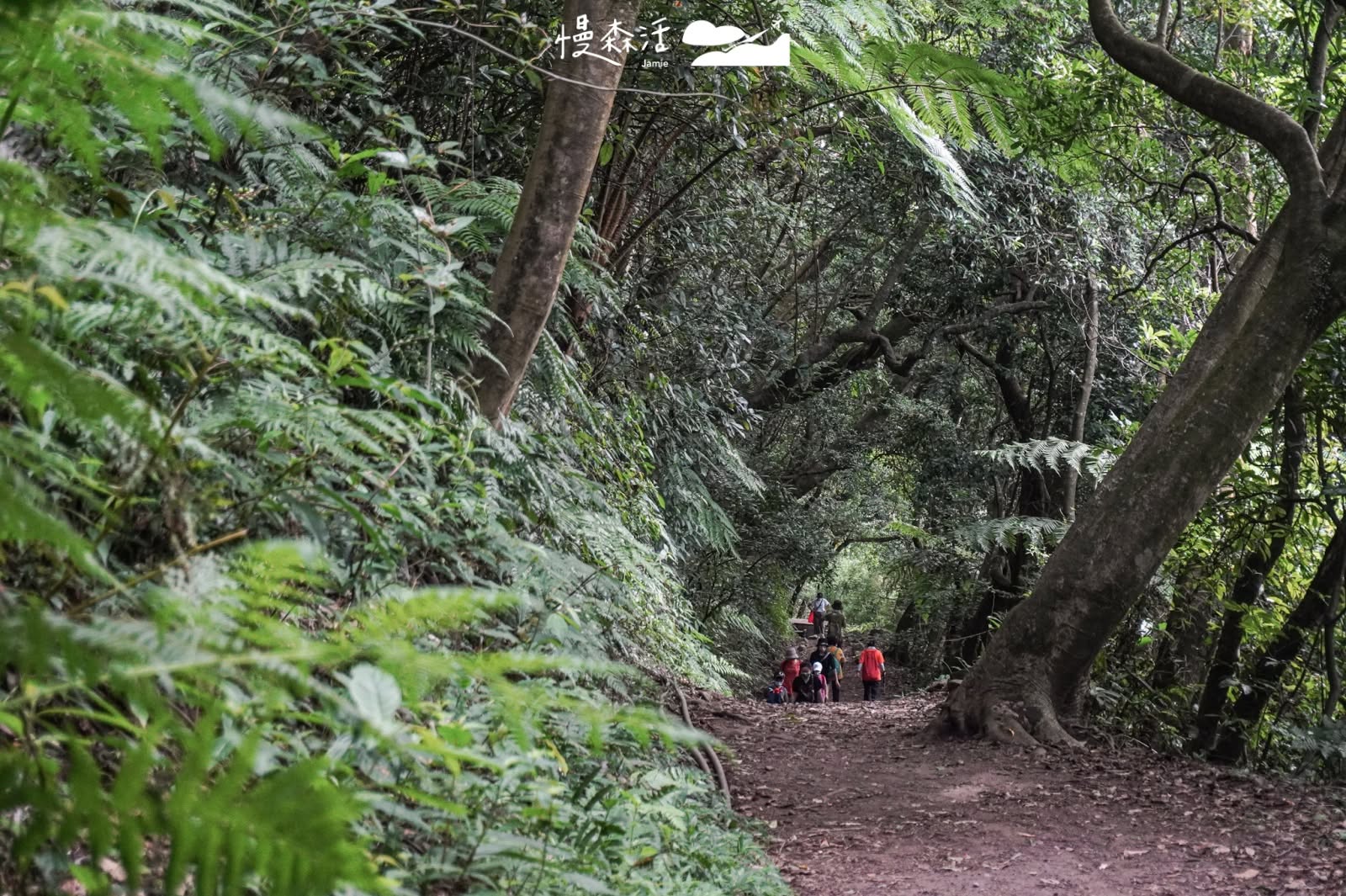台北市北投區 陽明山橫嶺古道