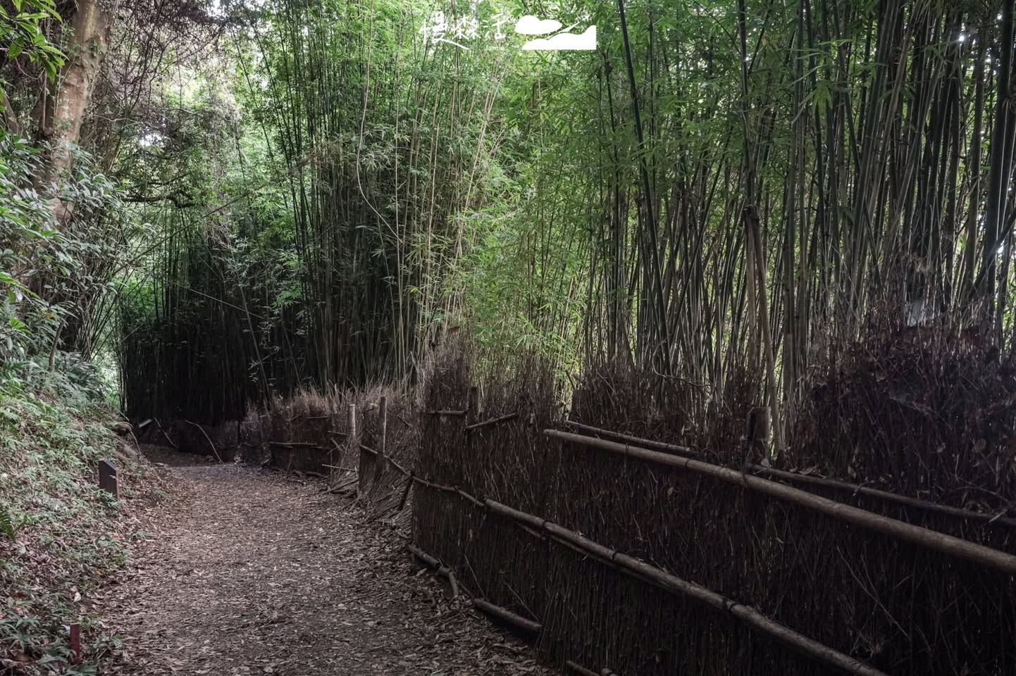 台北市北投區 陽明山橫嶺古道