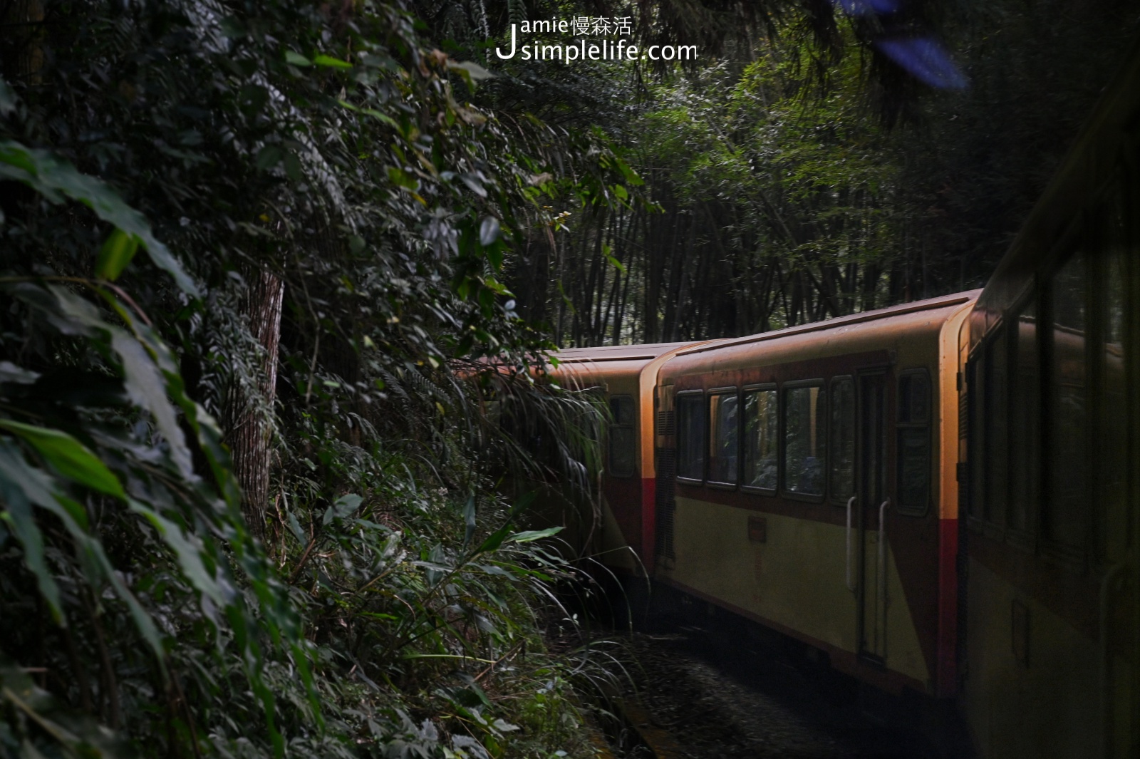 前進嘉義，世界文化遺產「阿里山森林鐵路」  阿里山林鐵山林景色