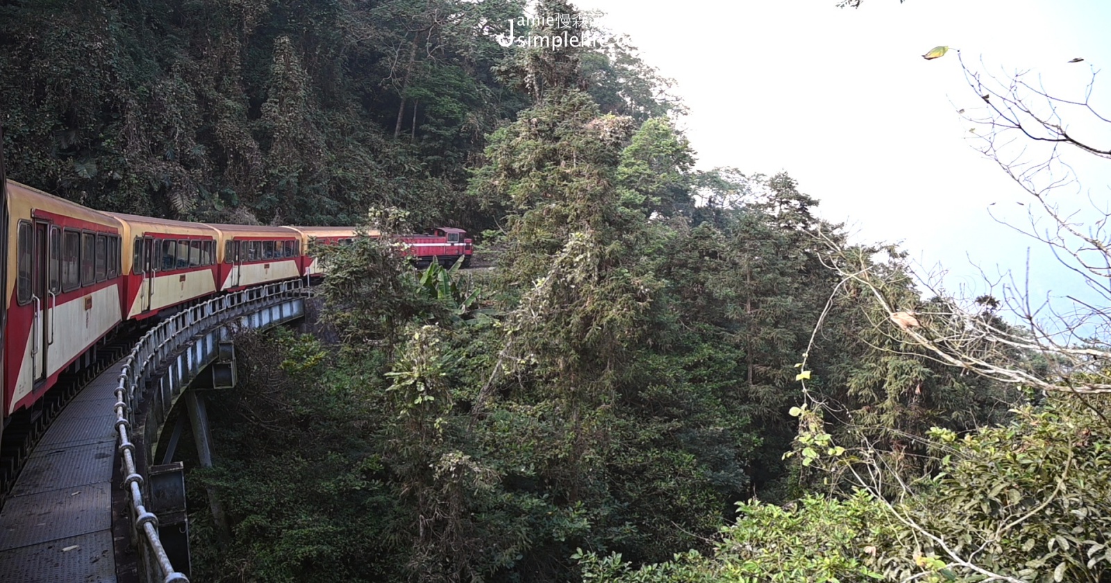 前進嘉義，世界文化遺產「阿里山森林鐵路」