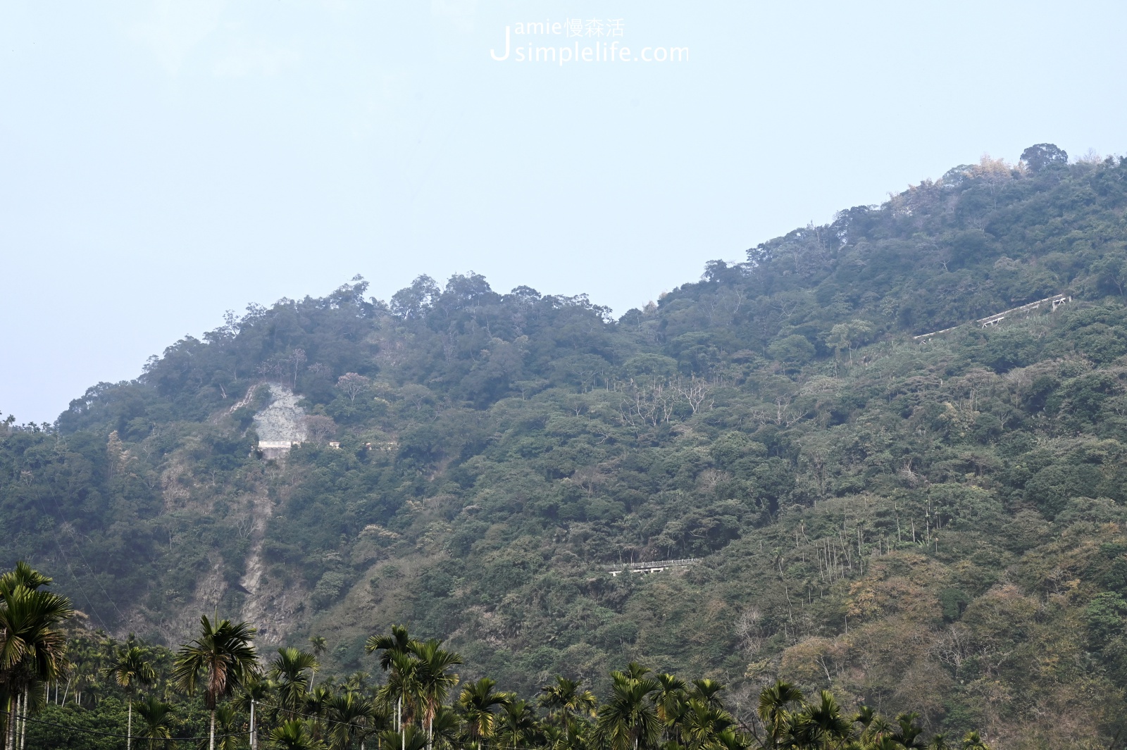 前進嘉義，世界文化遺產「阿里山森林鐵路」 盤三圈到山頂，最後再繞「8」字離開獨立山