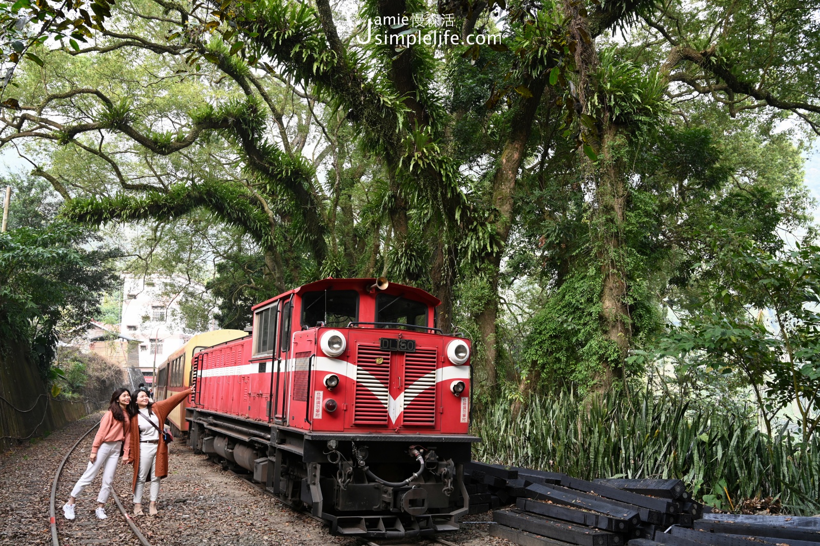 前進嘉義，世界文化遺產「阿里山森林鐵路」 海拔543公尺樟腦寮車站