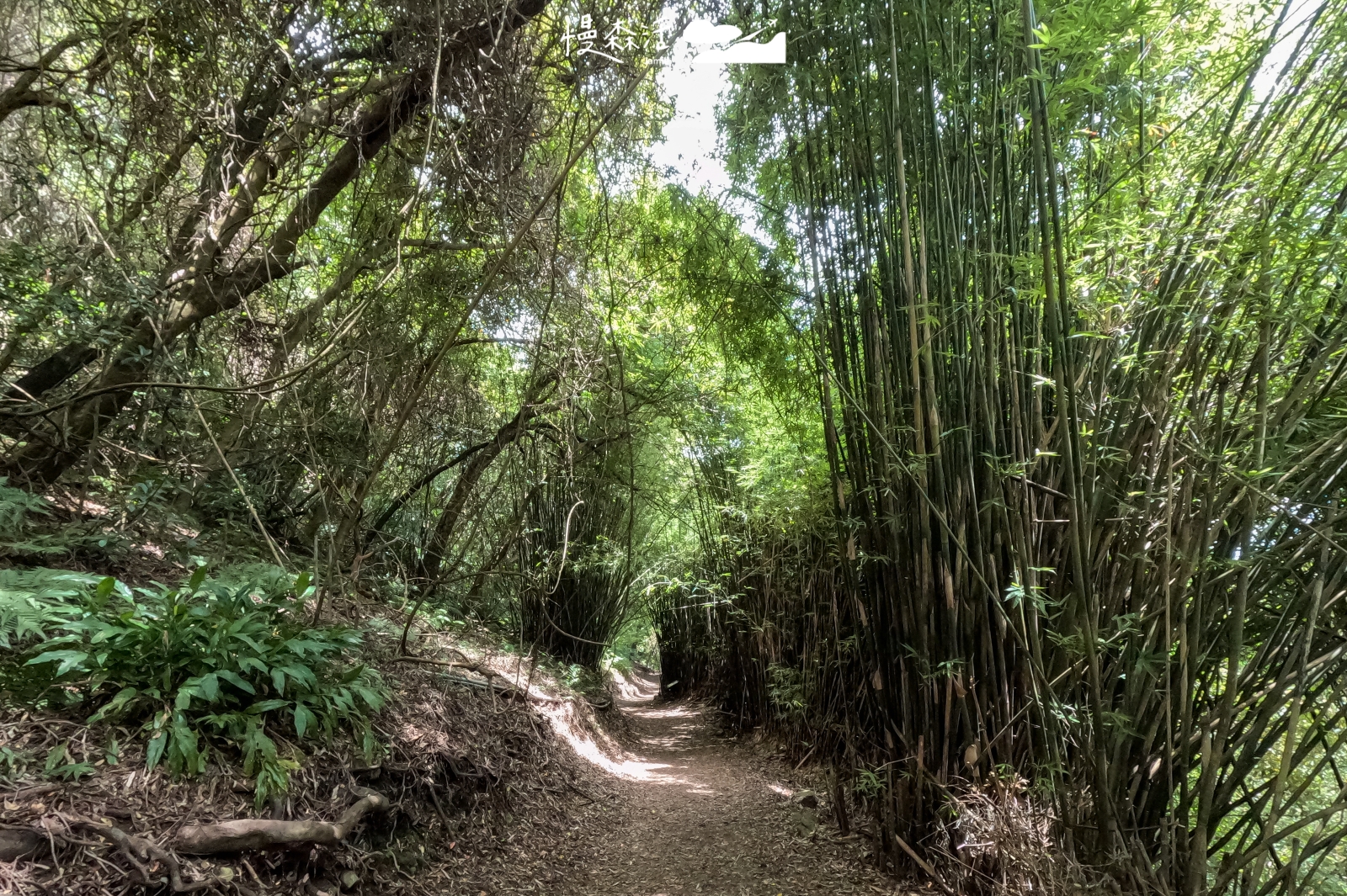 台北市北投區 陽明山橫嶺古道