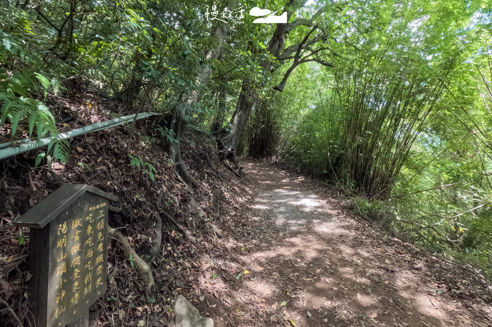 台北市北投區 陽明山橫嶺古道