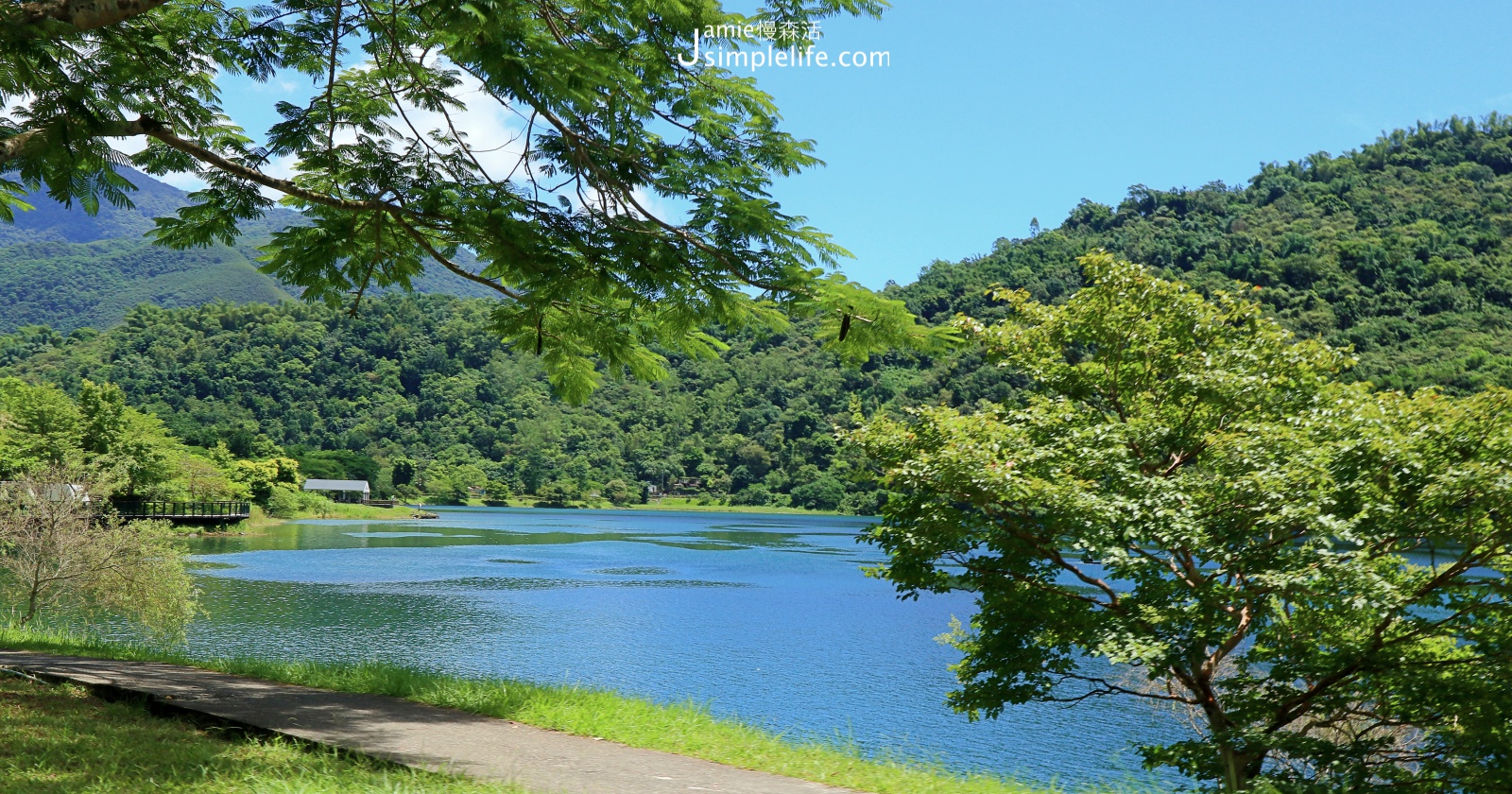 季節限定！花蓮鯉魚潭特殊活動 2021鯉魚潭賞螢季