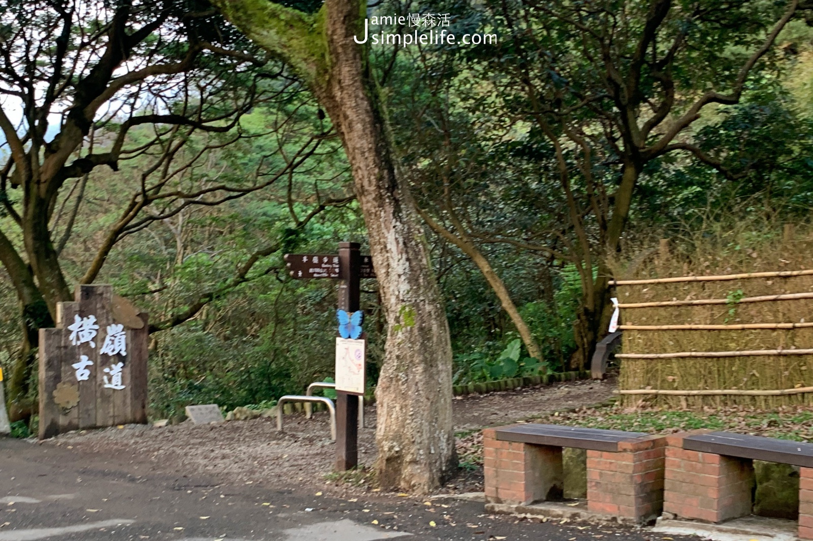 陽明山橫嶺古道環狀步道介紹