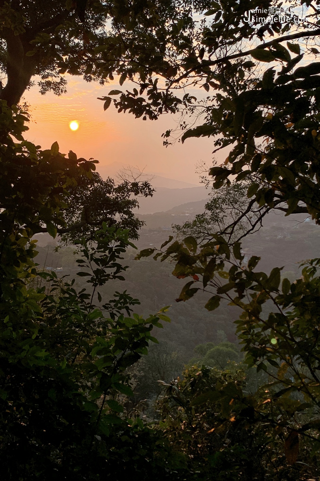 陽明山橫嶺古道環狀步道春天的樣子 日落