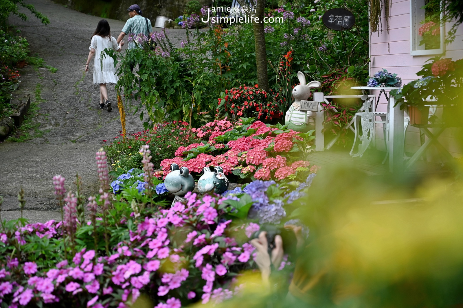 苗栗南庄「碧絡角花園咖啡」庭院繡球花