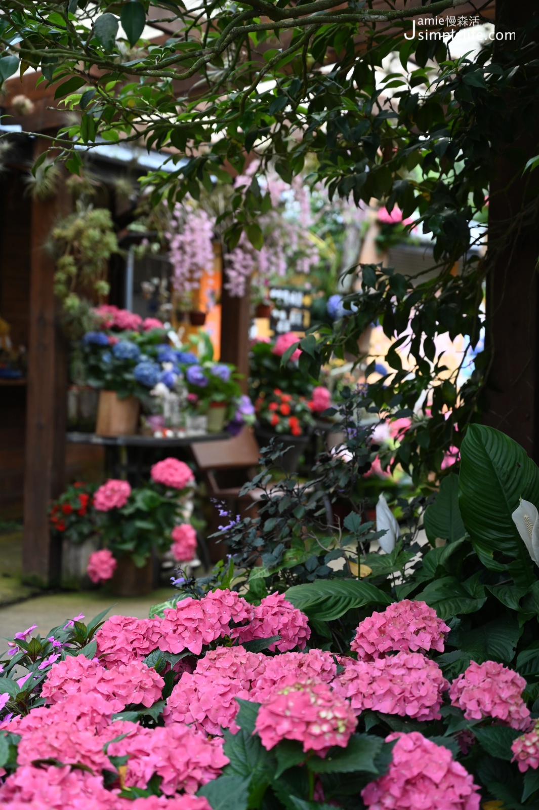 苗栗南庄花園喝咖啡也體驗手作 碧絡角花園咖啡