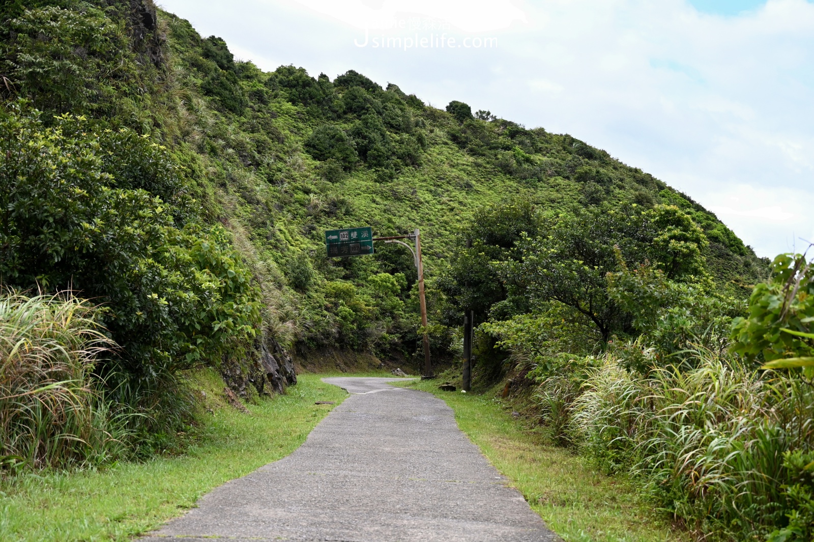 於樹梅坪觀景台走進燦光寮古道