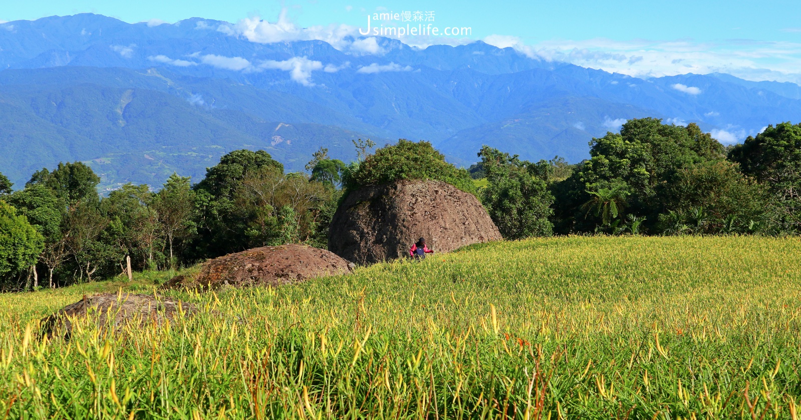 花蓮玉里赤柯山金針花風景