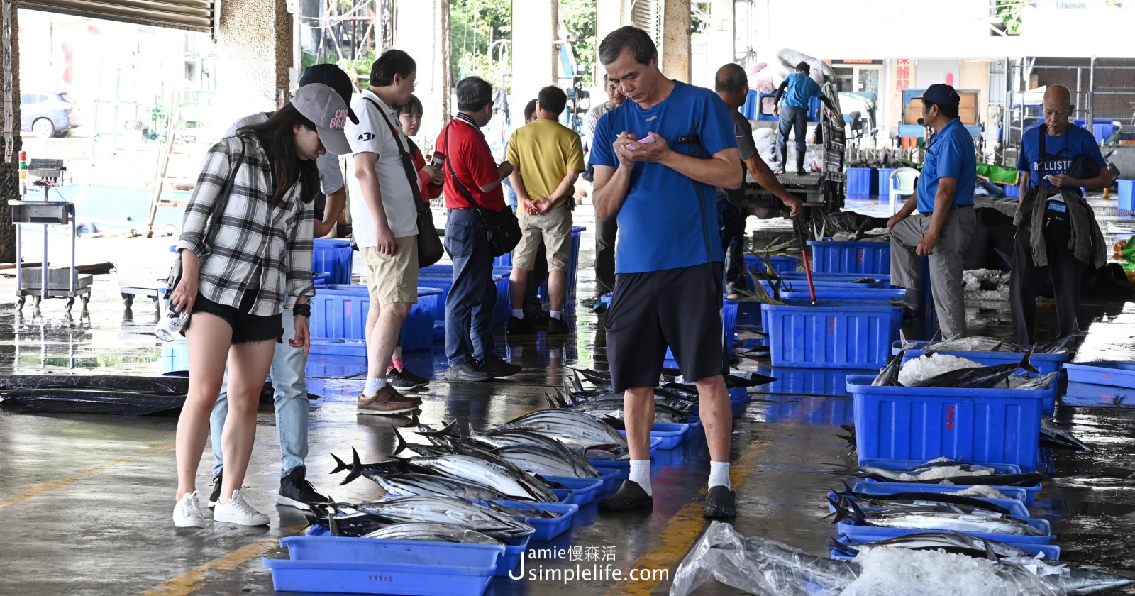 東部海岸最大！旗魚、海產漁獲當天新鮮供應「新港漁港」