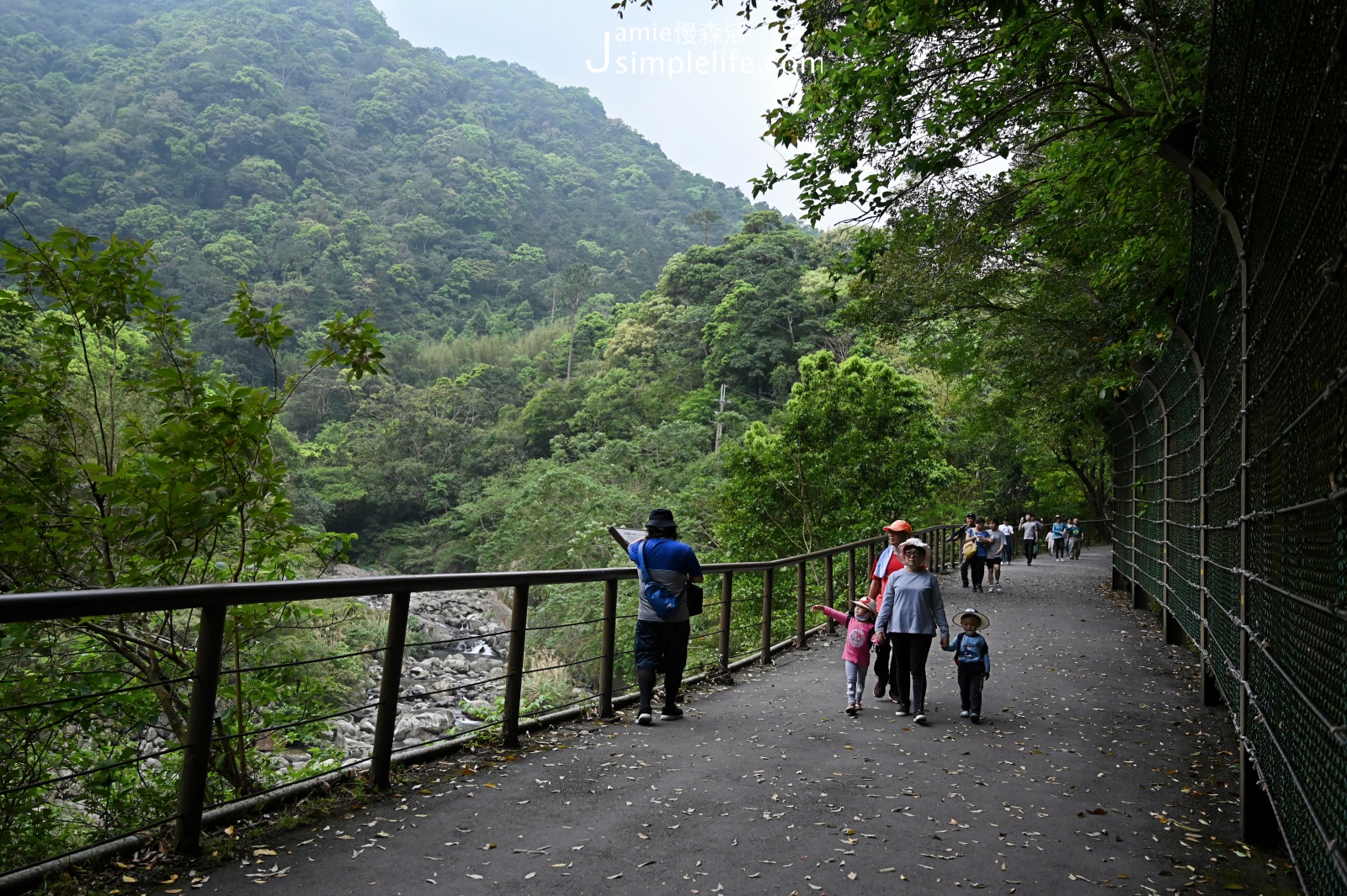 新北三峽「滿月圓國家森林遊樂區」健行步道與無障礙步道的景色