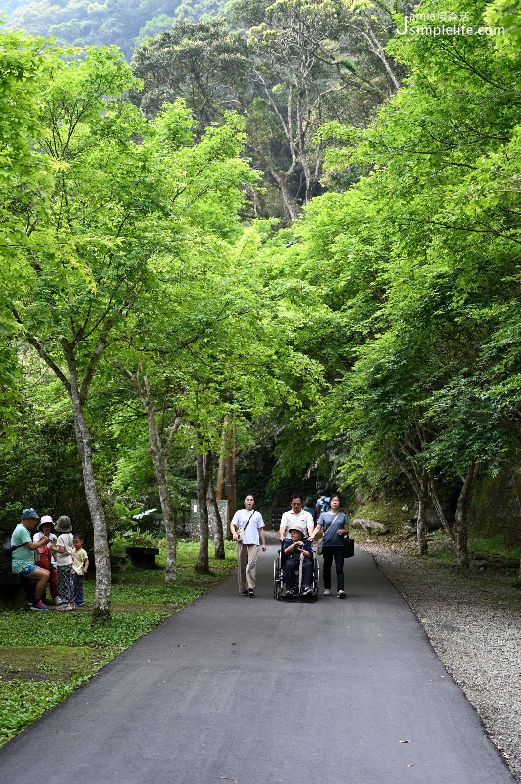 新北三峽「滿月圓國家森林遊樂區」健行步道與無障礙步道