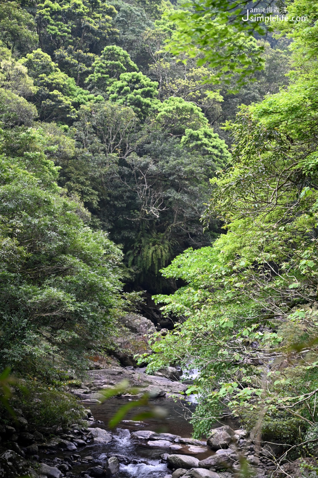 新北三峽「滿月圓國家森林遊樂區」蚋仔溪