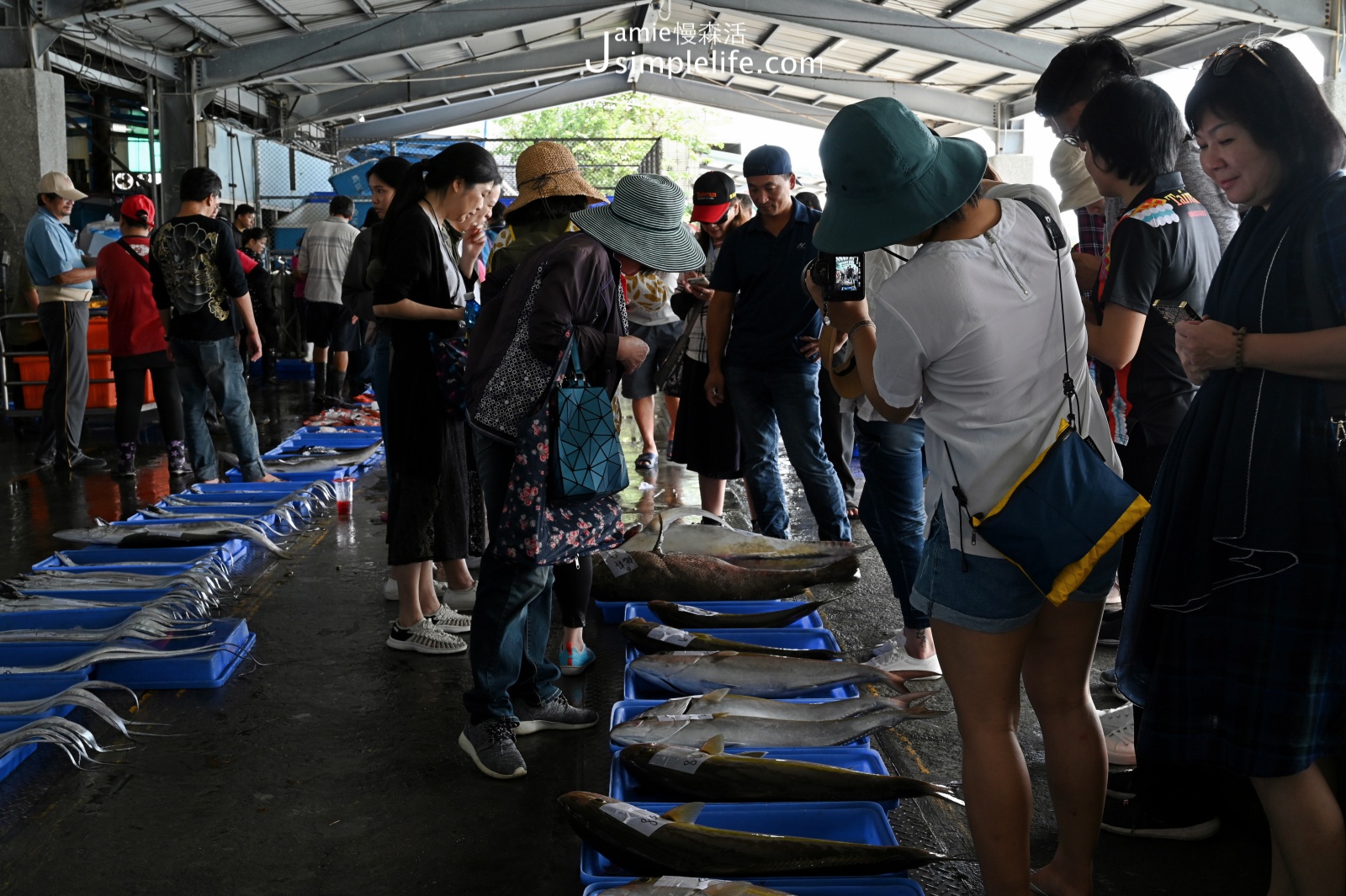 旗魚重鎮，「新港漁港」漁獲當天新鮮供應中