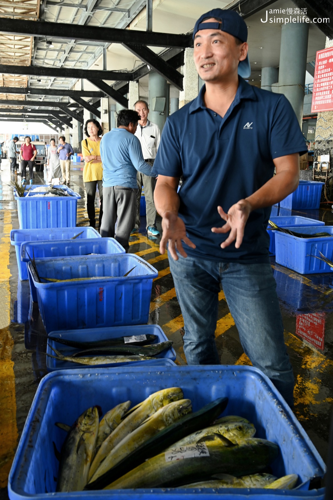 台東成功漁港職人帶路認識魚種